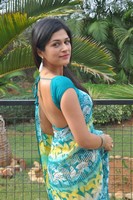 Shraddha Das Saree Pics